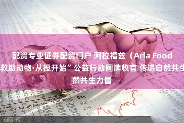 配资专业证券配资门户 阿拉福兹（Arla Foods）“救助动物·从投开始”公益行动圆满收官 传递自然共生力量